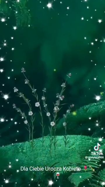VID_20250609_150043_327.mp4