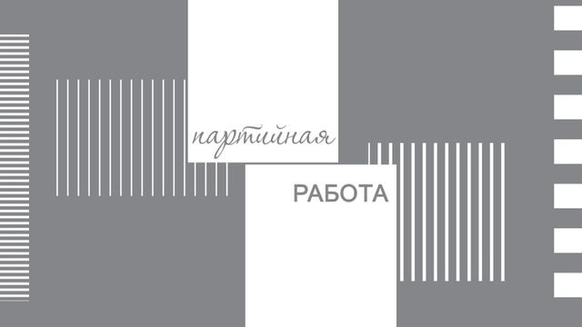 Партийная работа  ЛДПР