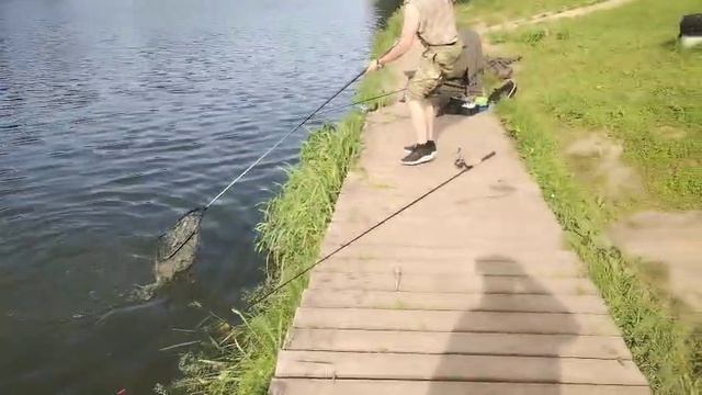 Карпуша клюет