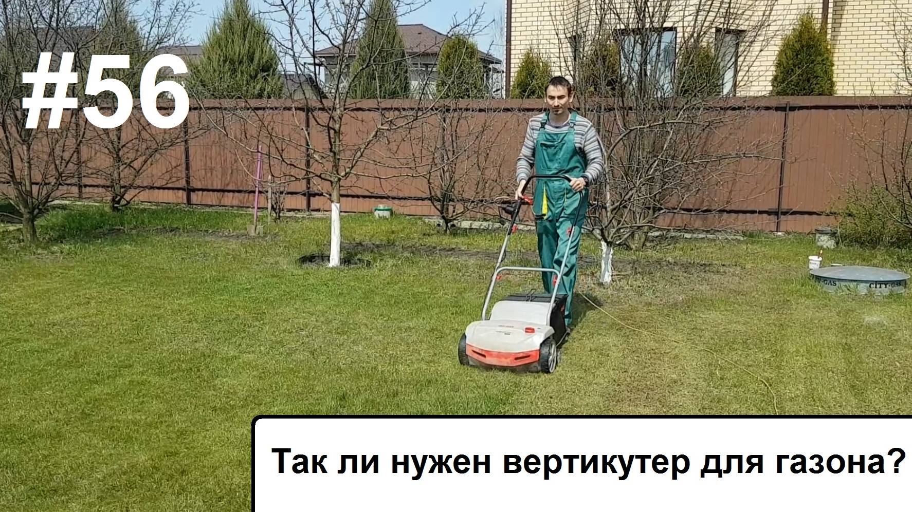 Вертикутер.