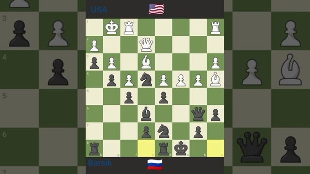 Barsik Vs USA