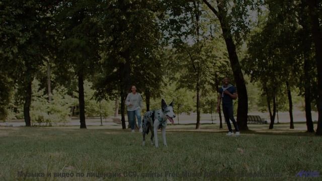 Пейзажи проникают в душу под этот трек - Jah-River -- Ketsa -- Reflective Processes