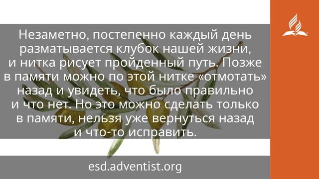 11 июня 2025. Блаженство библейской мудрости. Под сенью благодати _ Адвентисты
