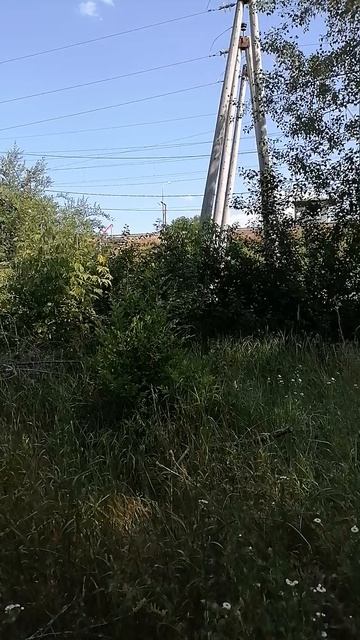 Идём купаться на Кубань