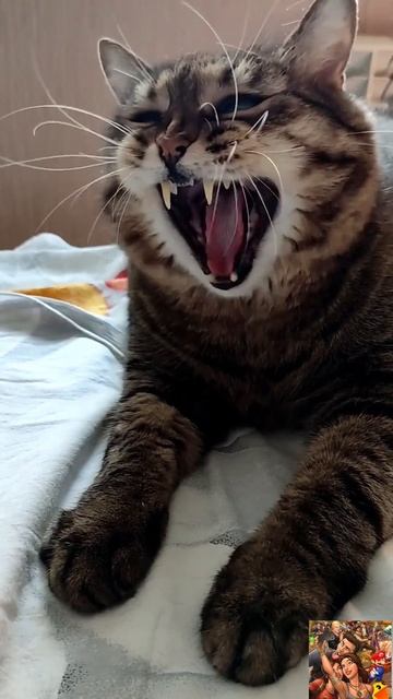 Я Пришёл домой после суток 🙀😉🤣👍🚀👇