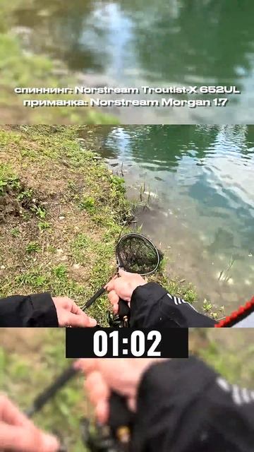 ДВЕ МИНУТЫ КАЙФА!!! #norstream #fishing #рыбалка #new #форель #спорт