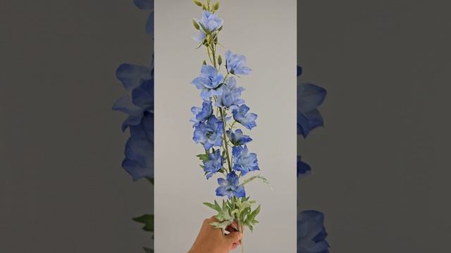 Дельфиниум Касабланка