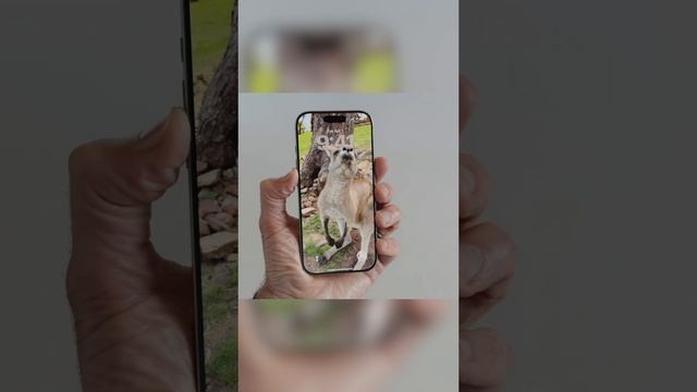 Что нового в iOS 26