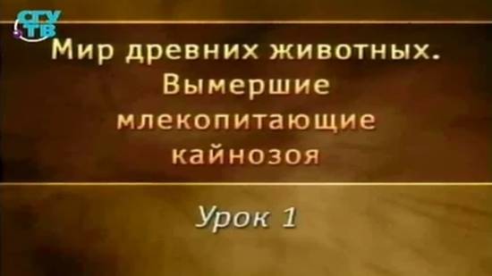 Вымершие млекопитающие # 1. Мезозойская катастрофа