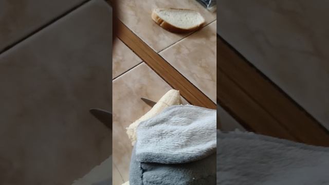 как Боря дурачится часть 37