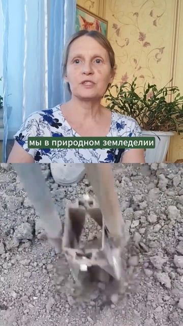 Картофелесажалка. #огород #земледелие #мульчирование