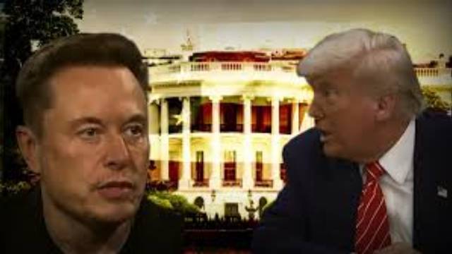 Дональд Трамп ответил про поведение Маска в Белом доме