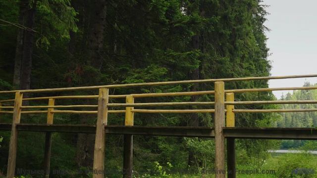 Леса открываются, как книга, под этот трек - Apple Snake (Part 02) -- HighWay17 -- Rotten Guy