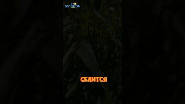 В мире недвижимости