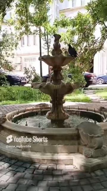 Знойный полдень в московском дворике / Фонтан / Голуби