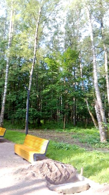 В летнем парке ранним утром!