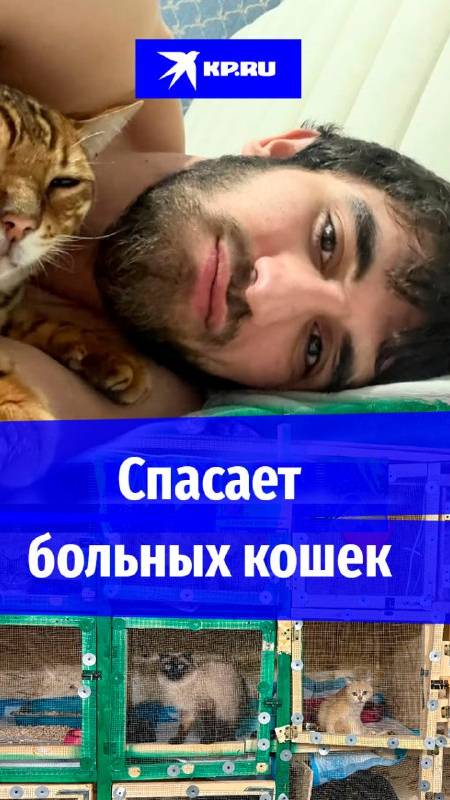 Вернувшись с СВО дагестанский боец сделал приют для больных кошек