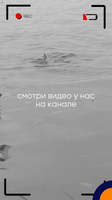 Смотри полную версию по ссылке https://rutube.ru/video/25b0f3c5bcca4d11813968321595d860/