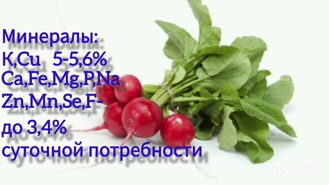 Редис.Витаминно-минеральный состав.