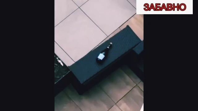 Ржака приколы! Смешные видео приколы!