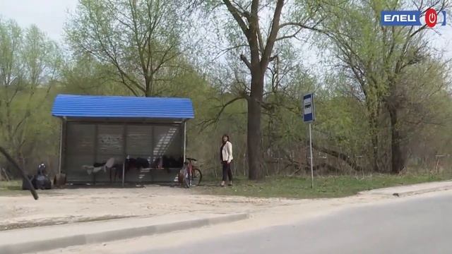 Ни дня без доброго дела: в Ельце открылась «Весенняя неделя добра»