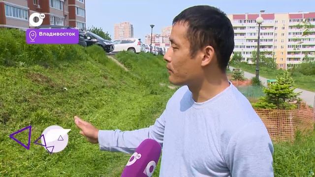 Было / Стало / Покос травы / 10.06.25