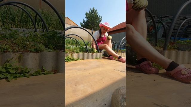 🧹🧺🏡 Быт и психология