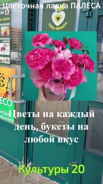 Культпросвет приветственное