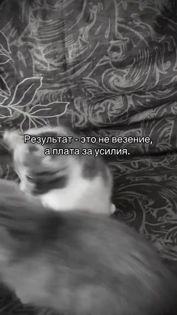 Надо постараться