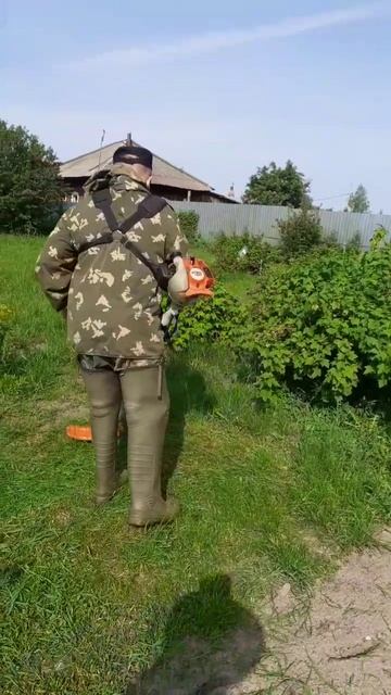 Трава растёт как на дрожжах