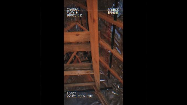 1000025987.mp4 (Собака следит за планированием приточно-вытяжной вентиляции в доме А-фрейм)
