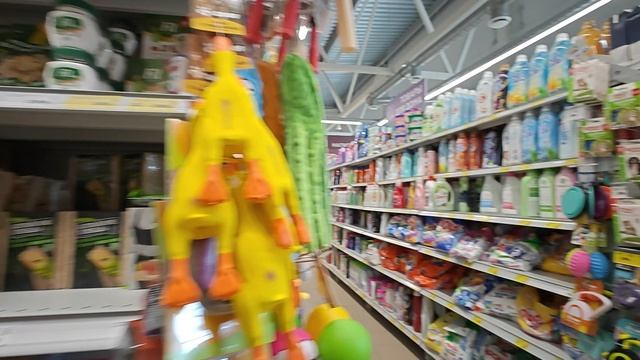 1000061539.mp4