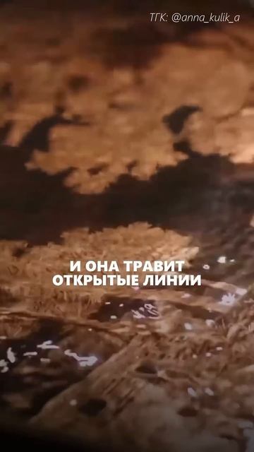 Рембрандт, Гойя, Фрейд — они работали в технике офорт.