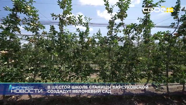 Новости на Своём от 10 июня 2025г. 21.00