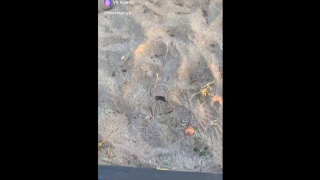 =МОТОТАНЯ : В ГОРОДЕ МНЕ ЧУЖОМ=