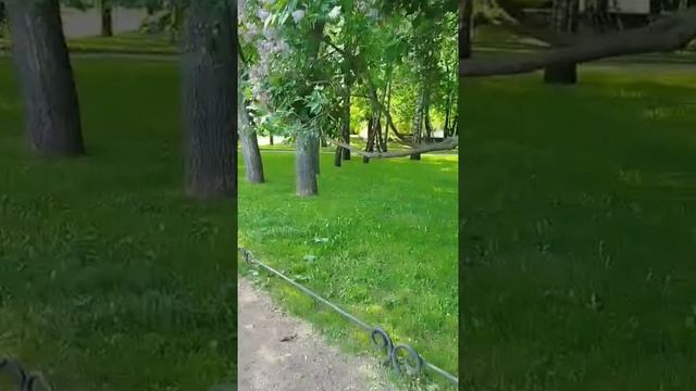 Санкт-петербург. Таврический сад.