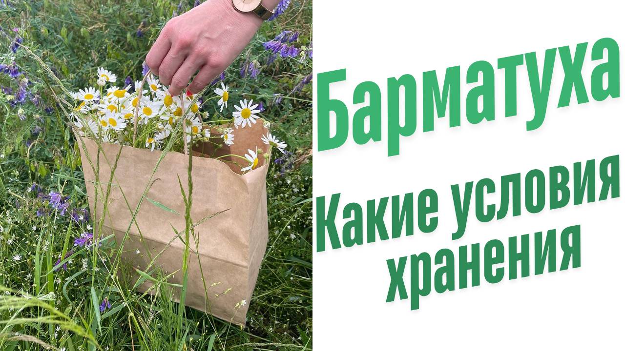 Какие условия хранения Барматухи?