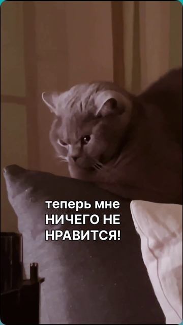 Знакомо каждому студенту