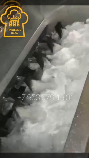 шпарчан для свиней Китай