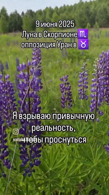 #9июня2025 #гороскопдня
