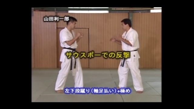 Дайдо-джуку каратэ-до. Базовая техника. Ч 2.