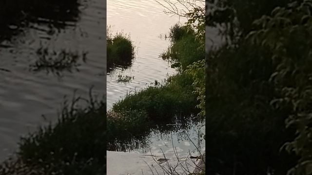 1000019268.mp4