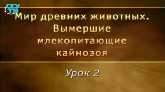 Вымершие млекопитающие # 2. Яйцекладущие и сумчатые млекопитающие