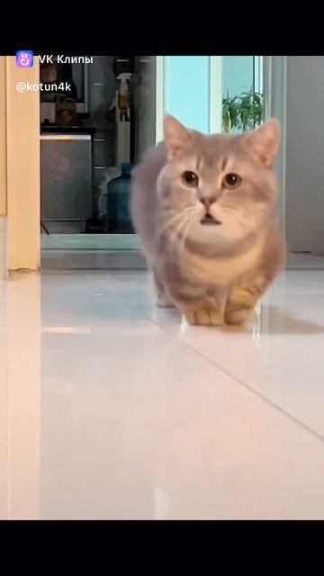 1000046468.mp4