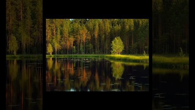 День после ночи, свет после тьмы