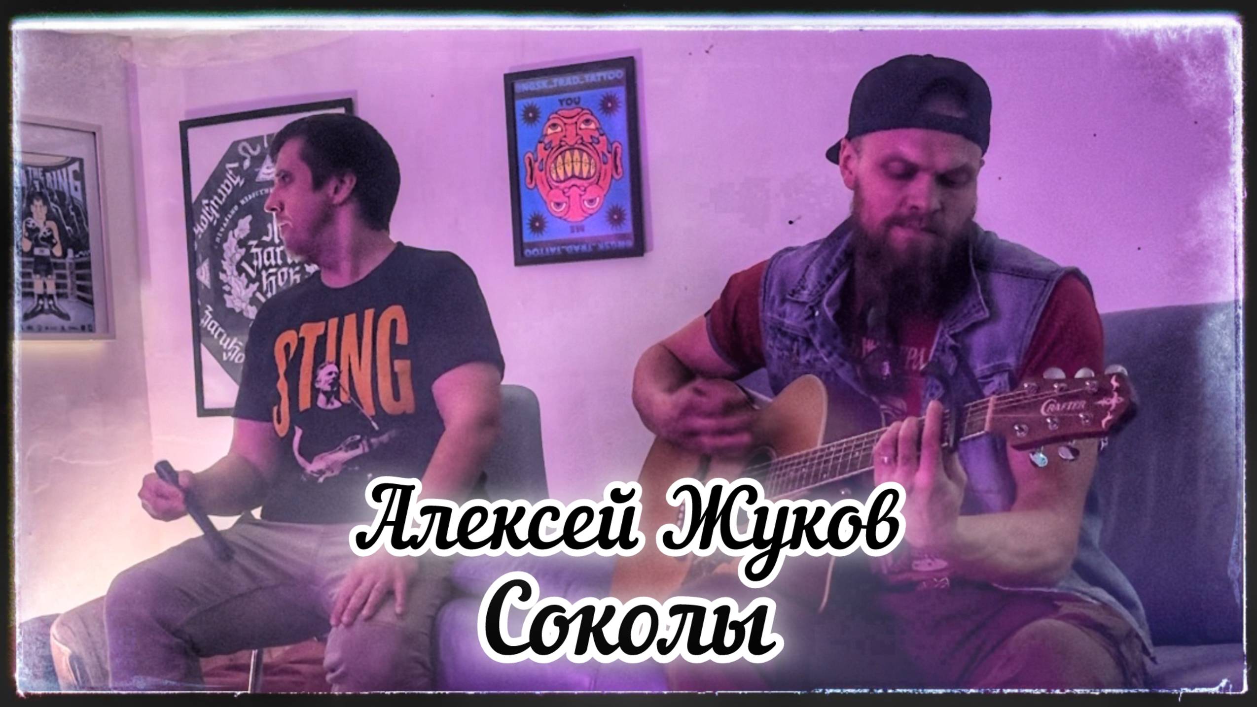 Алексей Жуков - Соколы