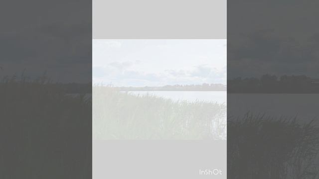 прогулка на озеро...