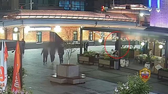 Во время прогулки по Москве девушка с парнем нашли забытую сумку, в которой лежали 35 тысяч рубле...