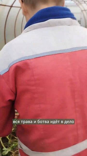 Теплая грядка.