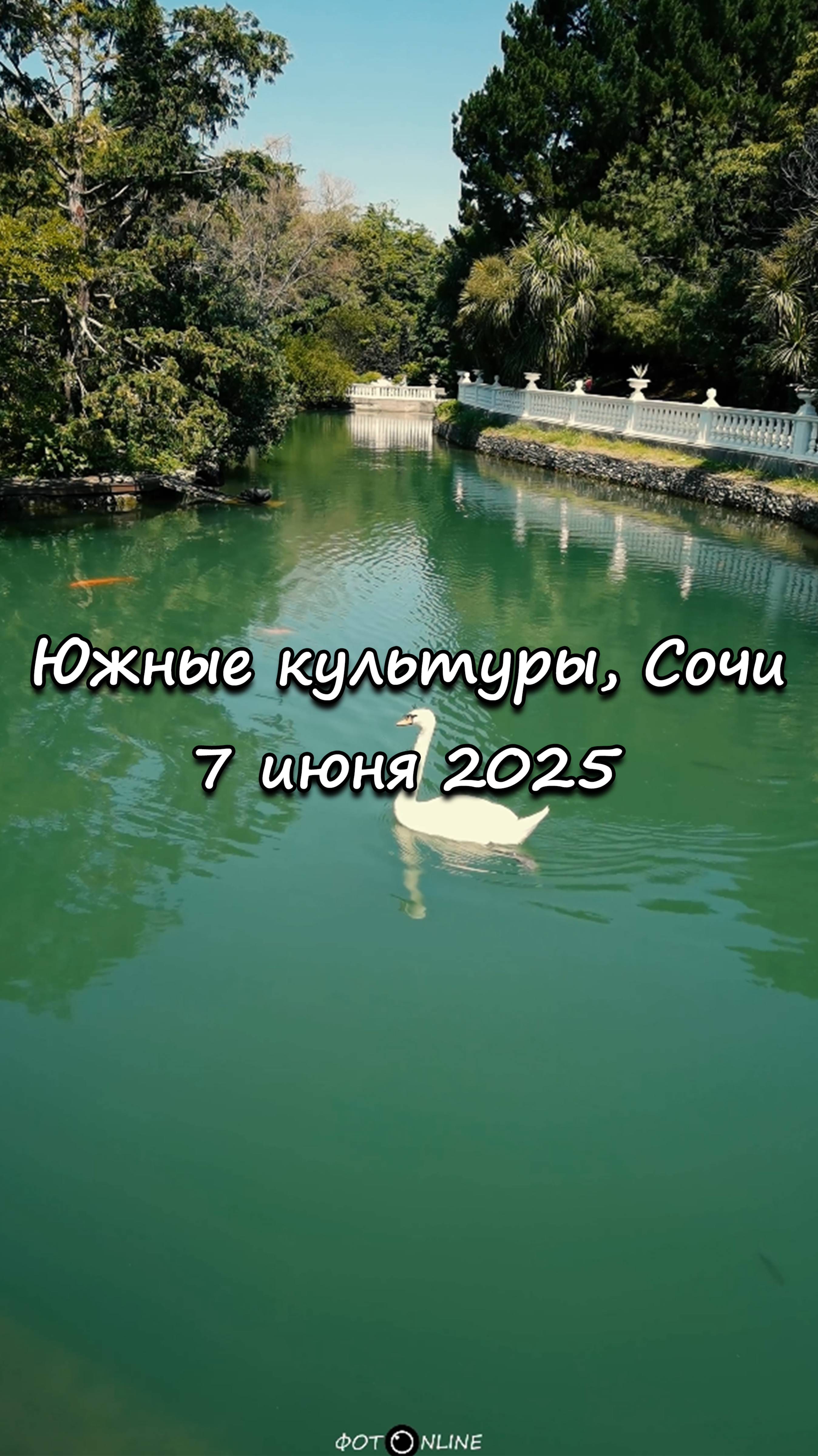 Парк Южные культуры, Сириус, Сочи. 7 июня 2025